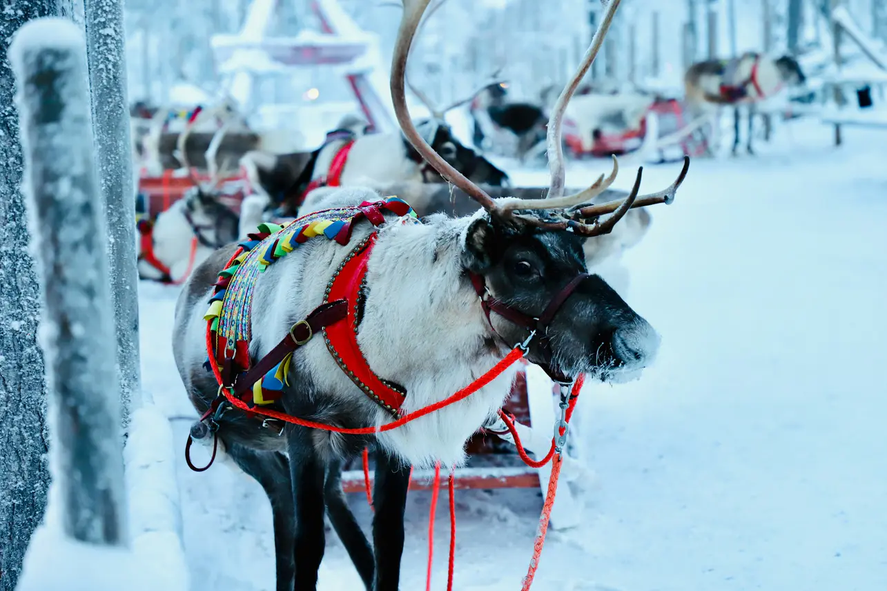 Vols pas chers pour Rovaniemi ✈️ La ville du Père Noël dès 83€ A/R - Miniature 2