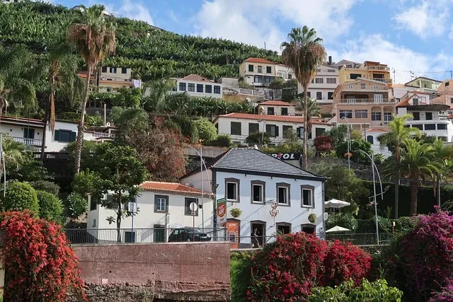 🏝️ Le Hawaï européen à moins de 750€ (Vol + Hôtel) ✈️🍹 — Places limitées ! - Miniature 3