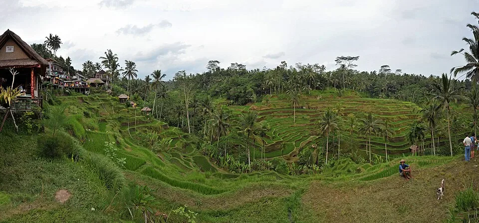 Bali depuis la France : vols, budget et itinéraire de 2 semaines